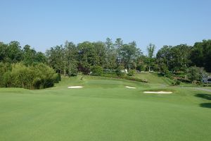 Biltmore Forest 8th Fairway